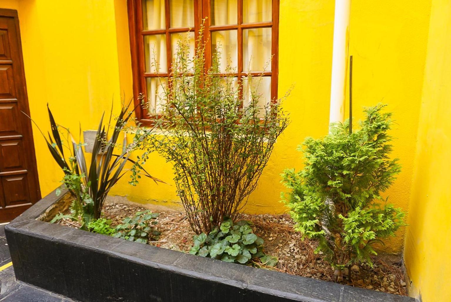 Apart Hotel Libertador El Calafate Dış mekan fotoğraf